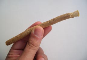 Волшебная палочка сивак (мисвак) полезные свойства, как использовать сивак