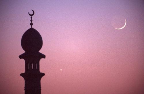 Американская библиотека проведет лекции об Исламе