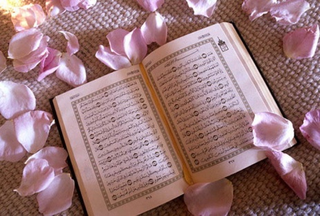 Тайна счастья скрыта в 40 аятах Корана