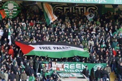 Шотландские футболные фанаты выступили за Палестину во время матча с Израилем